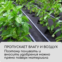 Материал мульчирующий, с перфорацией, 5 &times; 0,8 м, плотность 80 г/м&sup2;, спанбонд с УФ-стабилизатором, чёрный, Greengo, Эконом 30%