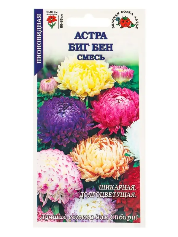 Семена Астра Биг Бен смесь /Сотка/ 0,2г/ пион. h-65см, d-10см/*1500