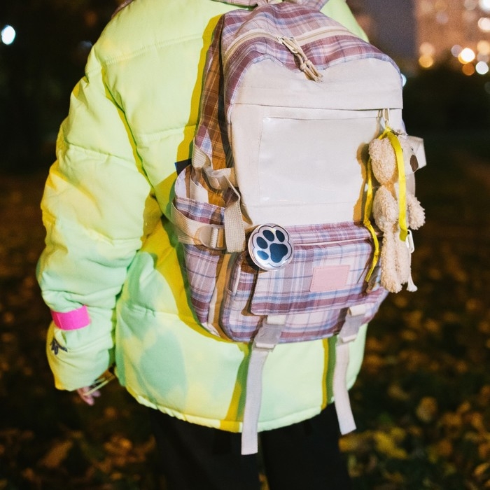 Светоотражающий значок &laquo;Лапка&raquo;, d = 5,8 см, цвет МИКС