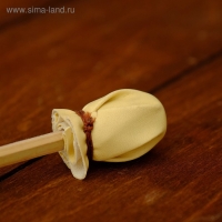 Сувенирный музыкальный инструмент "Бубен" 22х22х8 см МИКС