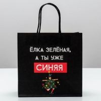 Пакет подарочный новогодний &laquo;А ты уже синяя&raquo;, 22 х 22 х 11 см, Новый год
