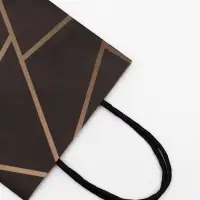 Пакет крафт под бутылку &laquo;Геометрия&raquo;, 14&times;8&times;32 см