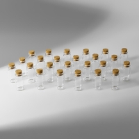 Набор баночек для хранения бисера, d = 2 × 4 см, 25 шт, в контейнере, 11 × 11 × 5 см Набор баночек для хранения бисера, d = 2 × 4 см, 25 шт, в контейнере, 11 × 11 × 5 см