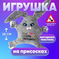Игрушка для авто &laquo;Могу учудить и начудить!&raquo;, 22х4х28 см