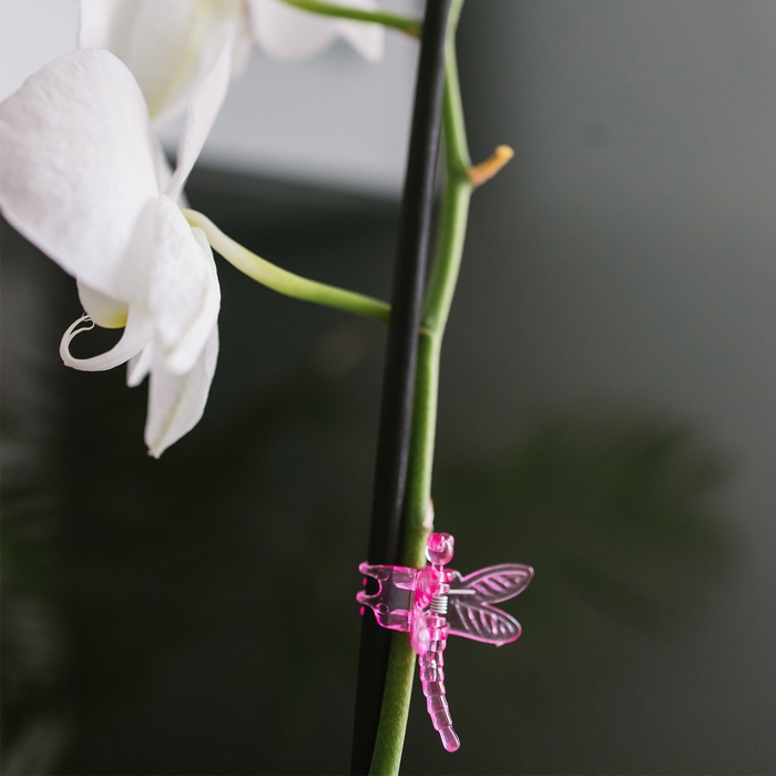 Клипса для растений &laquo;Стрекоза&raquo;, набор 10 шт., МИКС, Greengo