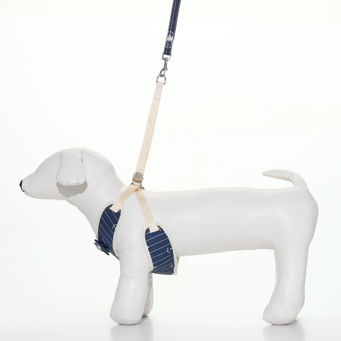 Комплект с мягкой шлейкой Комплект с мягкой шлейкой "Якорь", размер M, поводок, 120 х 1,5 см, ОГ 34-66 см, синий