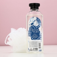 Подарочный набор косметики &laquo;Для тебя в Новый Год&raquo;, гель для душа 300 мл и мочалка для тела, ЧИСТОЕ СЧАСТЬЕ