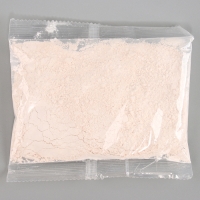 Магнит из гипса &laquo;Турбозавры. Буль&raquo;