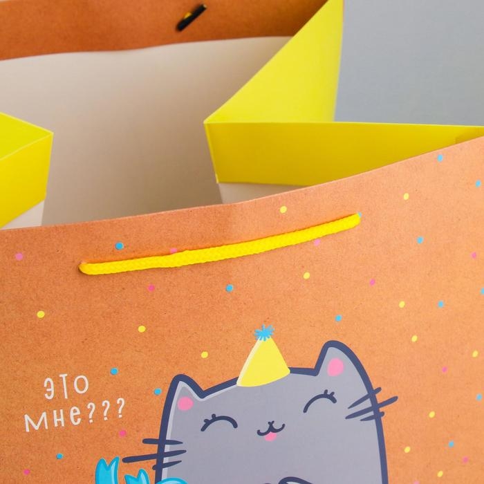 Пакет подарочный квадратный, упаковка, &laquo;Котик и тортик&raquo;, 30 х 30 х 30 см