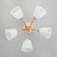 Люстра потолочная Элли 5х40Вт Е27 Золото 52x52x30 см Люстра потолочная Элли 5х40Вт Е27 Золото 52x52x30 см