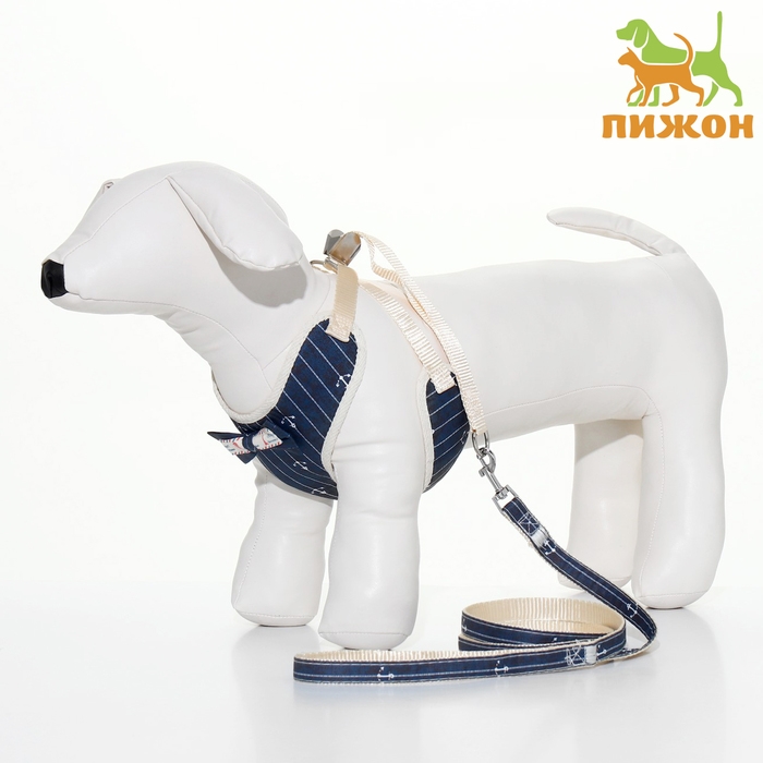 Комплект с мягкой шлейкой Комплект с мягкой шлейкой "Якорь", размер M, поводок, 120 х 1,5 см, ОГ 34-66 см, синий