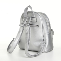 Рюкзак городской на молнии, цвет серебряный Рюкзак городской на молнии, цвет серебряный