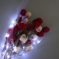 Плёнка упаковочная с гирляндой &laquo;Холодный белый&raquo;, 60 х 60 см