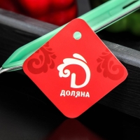 Сито для просеивания с ручкой Доляна «Хозяюшка», d=12 см, цвет зелёный Сито для просеивания с ручкой Доляна «Хозяюшка», d=12 см, цвет зелёный