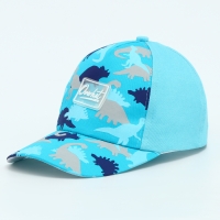 Кепка детская для мальчика «Динозавры», цвет голубой, р-р 52-54, 5-7 лет Кепка детская для мальчика «Динозавры», цвет голубой, р-р 52-54, 5-7 лет