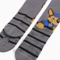 Колготки PAW PATROL &laquo;Гончик&raquo;, цвет серый, 98-104см