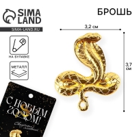 Брошь новогодняя «Сказочных мгновений» на Новый год, 6 х 8 см Брошь новогодняя «Сказочных мгновений» на Новый год, 6 х 8 см