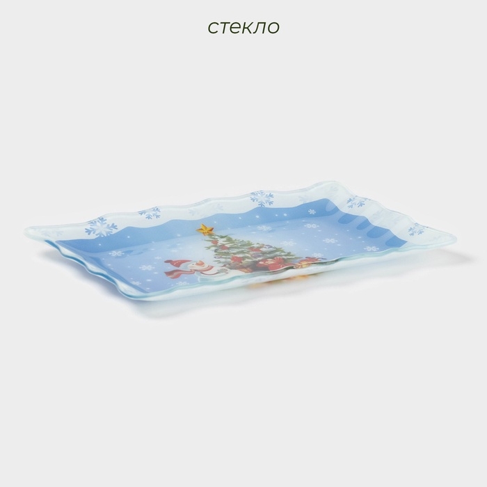 Блюдо стеклянное прямоугольное Доляна &laquo;Зимняя сказка&raquo;, 25&times;15 см