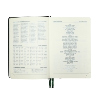 Ежедневник датированный 2025 года, A5, 168 листов в линейку, кожзам "Небраска", золотой срез, зеленый