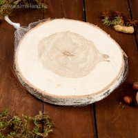 Спил берёзы, шлифованный с одной стороны, диаметр 18-22 см Спил берёзы, шлифованный с одной стороны, диаметр 18-22 см