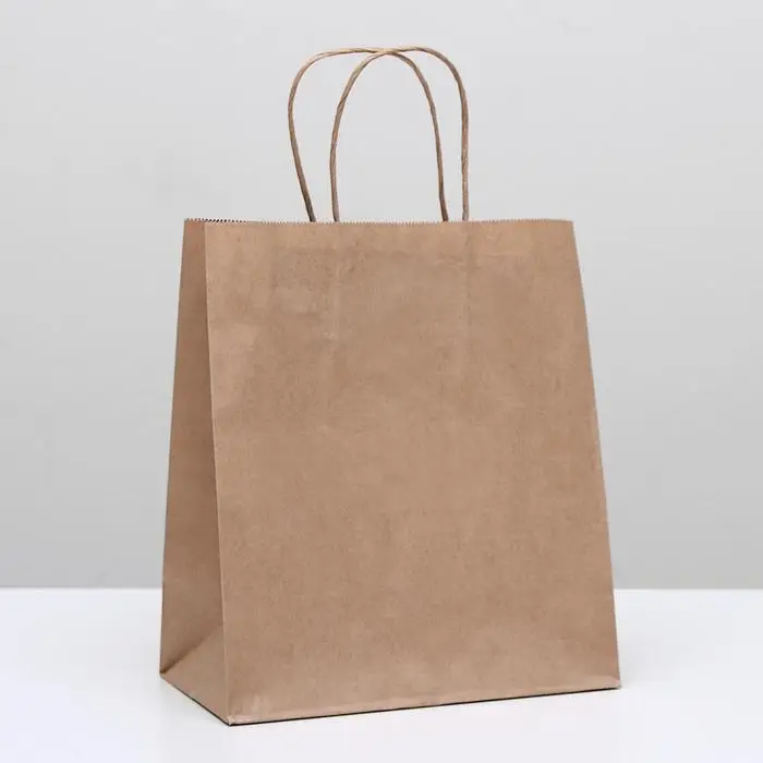 Пакет крафт без печати, круглая ручка 22&times;12&times;28 см