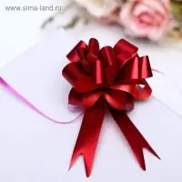 Бант - шар № 1.8 &laquo;Классика&raquo;, красный