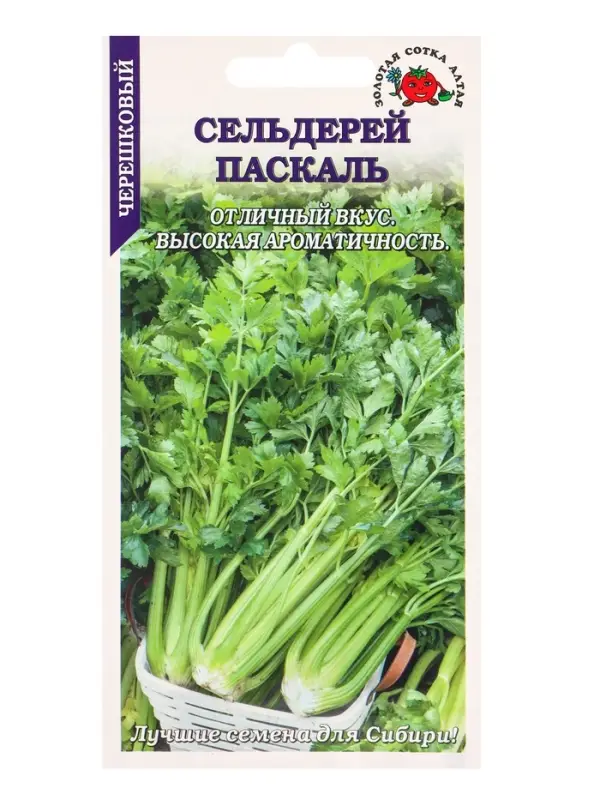 Семена Сельдерей черешковый Паскаль /Сотка/ 0,5г/ холодоуст./*1200