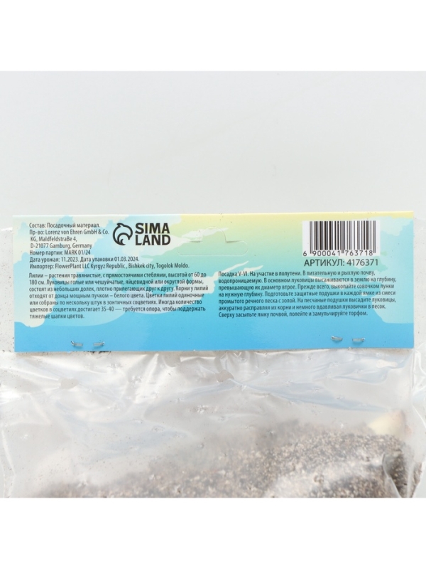 Лилия Азиатская &laquo;Ландини&raquo;, луковица в пакете с перфорацией, р-р 12/14, 3 шт.