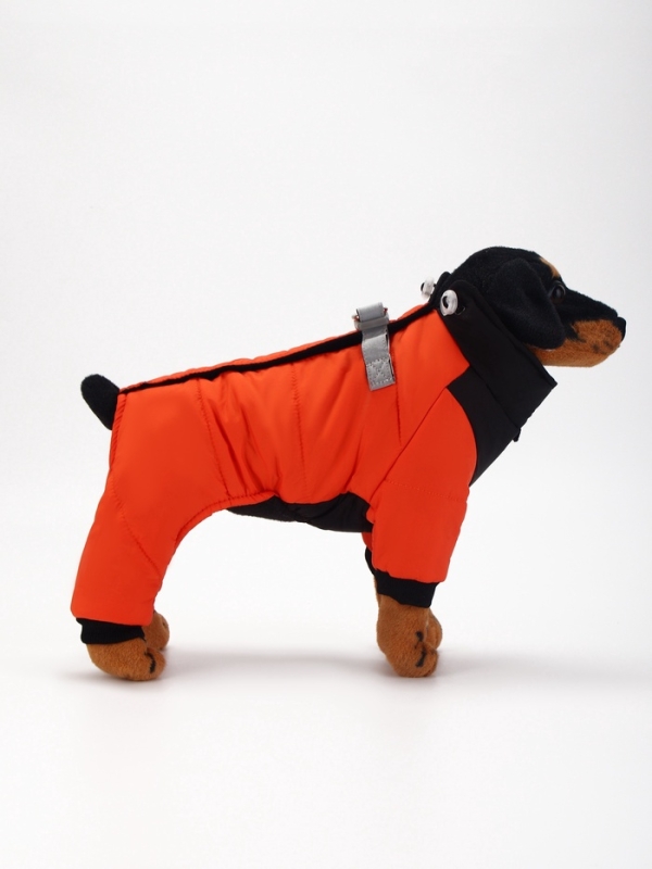 Комбинезон "Тренд", оксфорд, 2XL (ДС 43, ОШ 41, ОГ 53 см, вес 16-20 кг), оранжевый