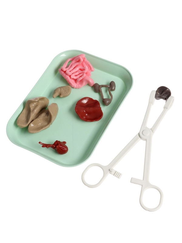 ЭВРИКИ Набор для опытов "Строение тела", светящееся с мягкими органами