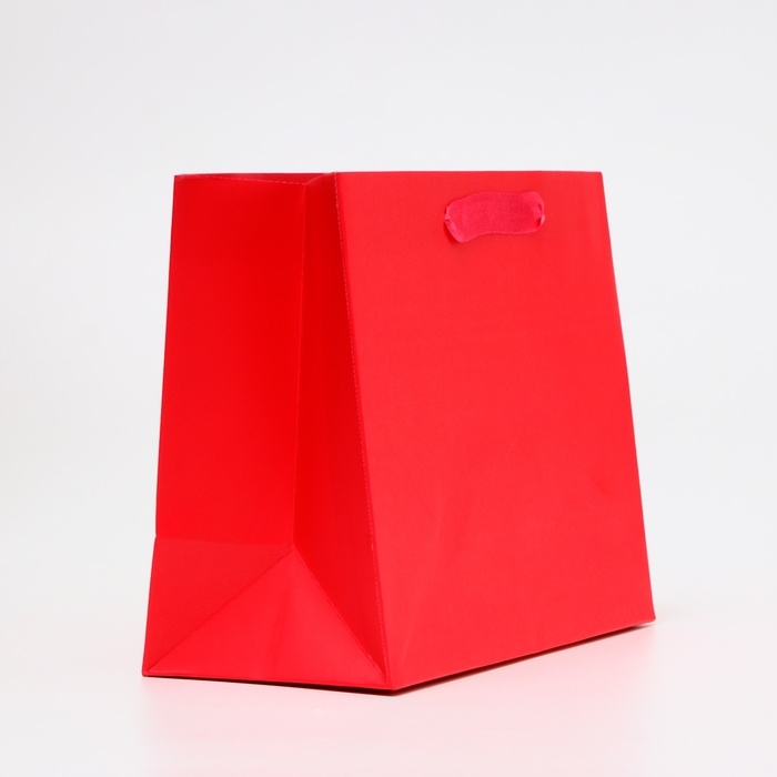 Пакет ламинированный &laquo;Фуксия&raquo;, MS 23 &times; 18 &times; 10 см