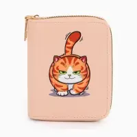 Кошелек дет 07-01-01 Июнь2543 кот, 8,52,510,5 см, 2 отд+отд/молн, д/карт, оранжевый