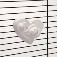 Минеральный камень "Пижон" для птиц сердце с углем, 60 г