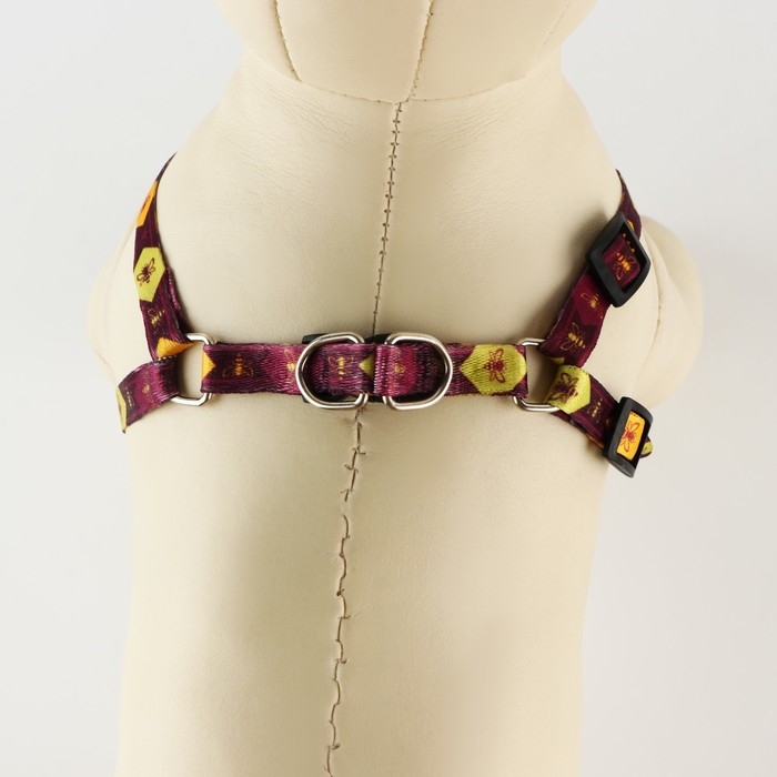 Комплект &laquo;Пчёлы&raquo;, шлейка 24-36 см, поводок 120х1 см