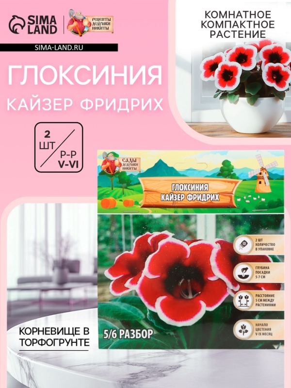 Глоксиния &laquo;Кайзер Фридрих&raquo;, многолетник, комнатный, луковица в пакете с перфорацией, р-р 5/6, 2 шт.