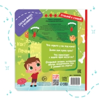 Книга с окошками &laquo;Как устроено моё тело?&raquo;, 55 окошек, энциклопедия