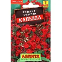 Набор Семена цветов для сада 20 шт. (174019262) ВБ