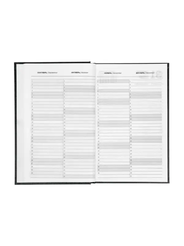 Ежедневник датир 2026г А5 168л б/вин, Черный