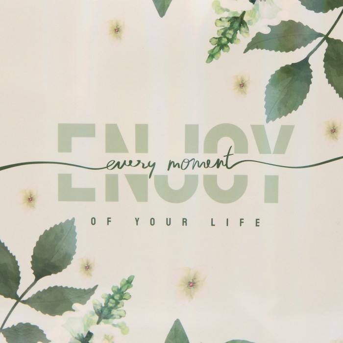 Пакет подарочный ламинированный, упаковка, &laquo;Наслаждайся моментом&raquo;, радужная голография, MS 18 х 23 х 10 см