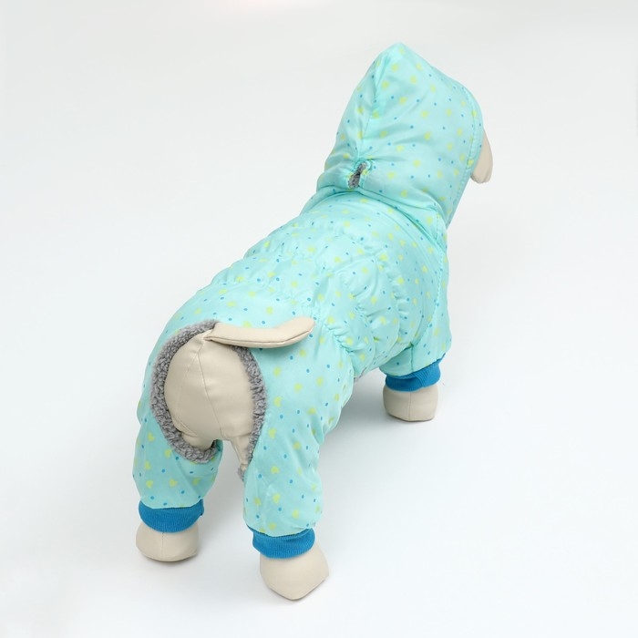 Комбинезон Комбинезон "нежный путь" на меховом подкладе, размер XXL (ДС 45, ОШ 45, ОГ 55 см), голубой