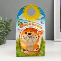 Растущий подарок травка Экоживчик "Тигр"