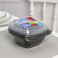 Набор пластиковых одноразовых контейнеров, 375 мл, 12,6&times;12,6&times;5 см, 5 шт