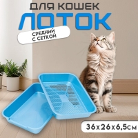 Туалет перламутровый средний с сеткой 36 х 26 х 6,5 см голубой Туалет перламутровый средний с сеткой 36 х 26 х 6,5 см голубой