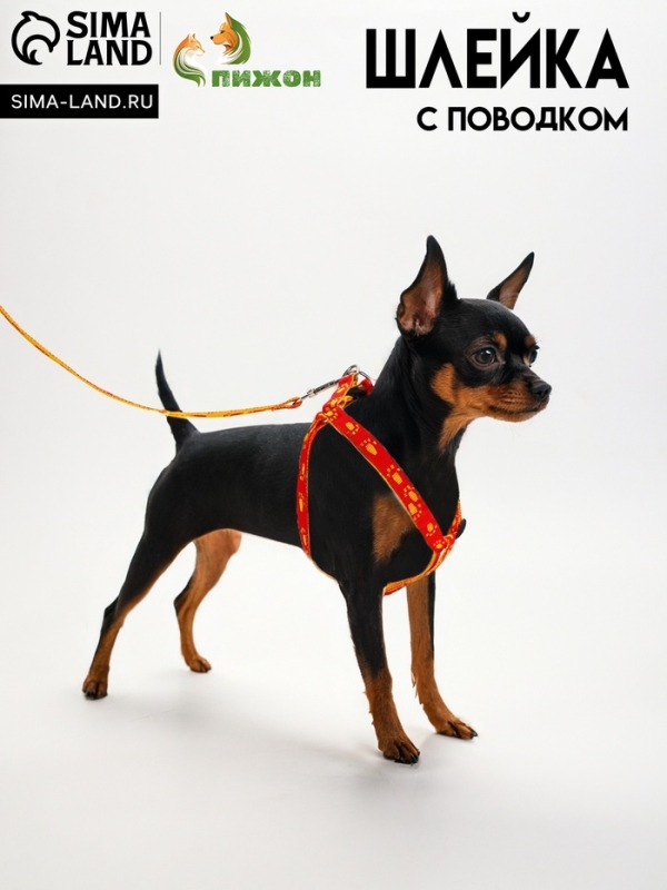 Комплект "Большая лапа", ширина 1,5 см, поводок 120 см, шлейка 28-42 см, оранжево-жёлтый