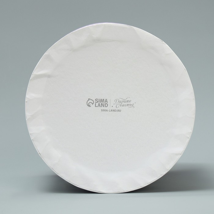 Набор шляпных коробок 5 в 1, упаковка подарочная, «Лаванда», 13 х 14 ‒ 19.5 х 22 см Набор шляпных коробок 5 в 1, упаковка подарочная, «Лаванда», 13 х 14 ‒ 19.5 х 22 см