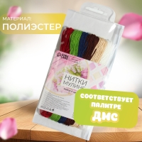 Набор ниток мулине №12, 8 ± 1 м, 6 шт Набор ниток мулине №12, 8 ± 1 м, 6 шт