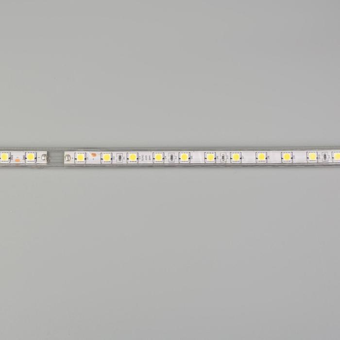 Светодиодная лента Ecola STD 14 &times; 7 мм, 50 м, IP68, SMD5050, 60 LED/м, 14.4 Вт/м, 220 В, 6000К