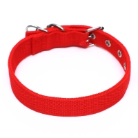 Ошейник двухслойный с вертлюгом, 55 х 2,5 см, полиэстер, красный Ошейник двухслойный с вертлюгом, 55 х 2,5 см, полиэстер, красный