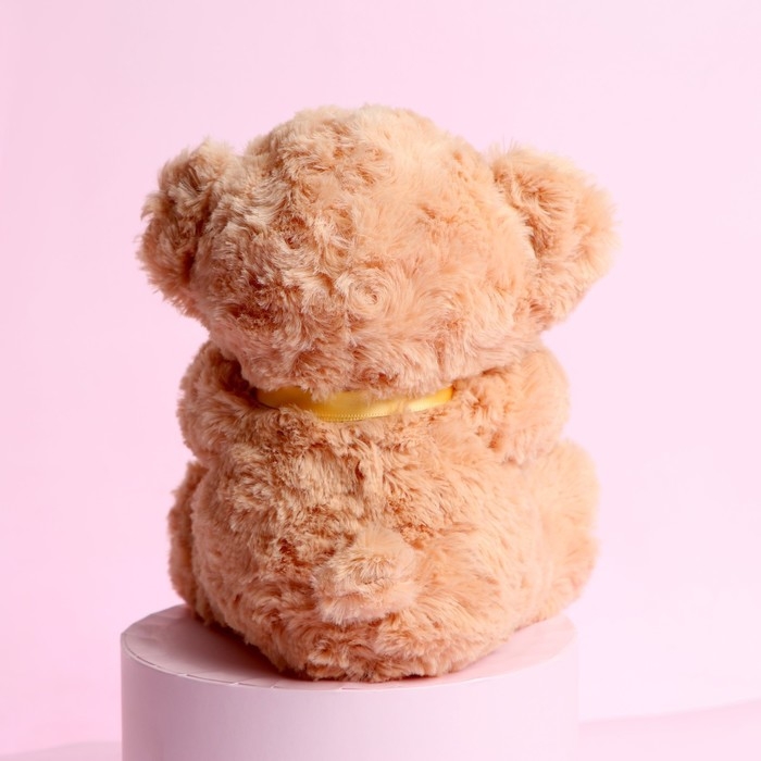 Мягкая игрушка &laquo;Ты - моё счастье&raquo;, медведь, 22 см, МИКС