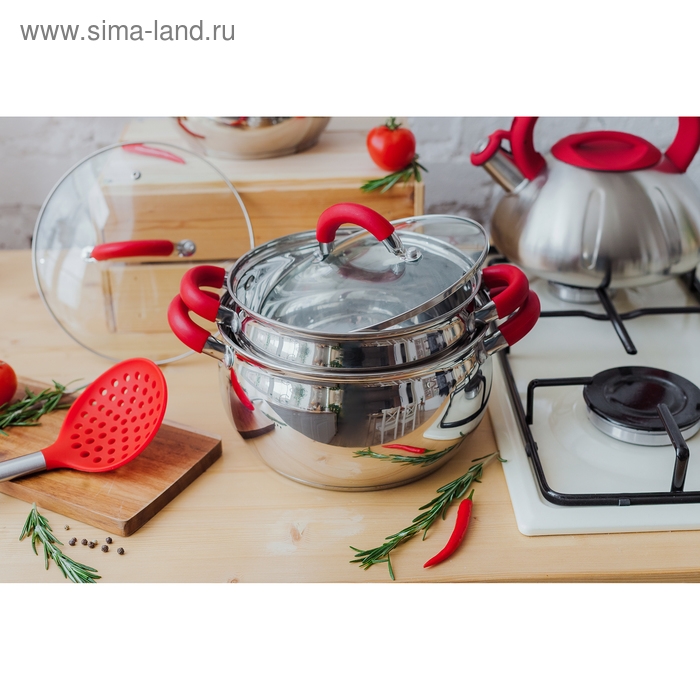 Кастрюля из нержавеющей стали Доляна &laquo;Вернер&raquo;, 3,5 л, d=20 см, с крышкой, индукция